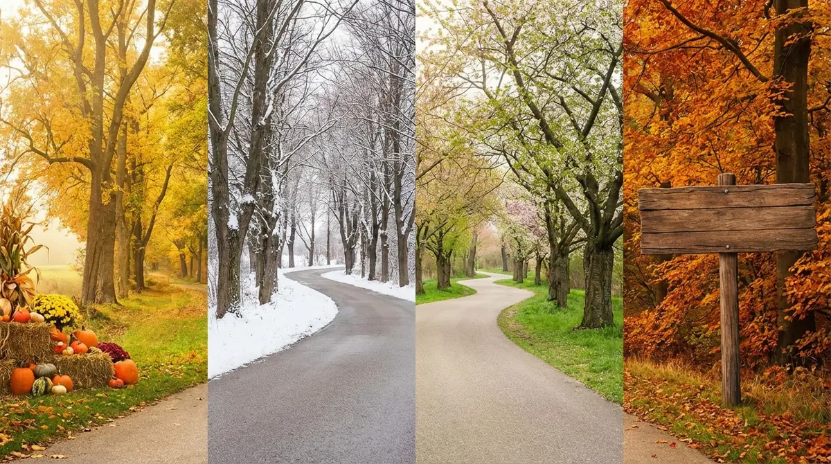 年中秋〜年長秋の月齢別ロードマップ